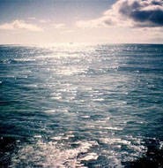 安徽祁门功夫红茶(Keemun kungfu Black Tea)